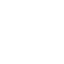 Long-term memory